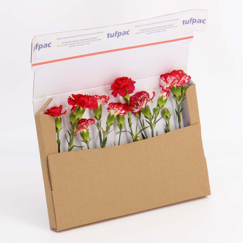 Flower Mailing Boxes with White Inside for Online Flower Shops