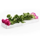 430mm x 110mm x 38mm White Letterbox Box for Posting Flowers