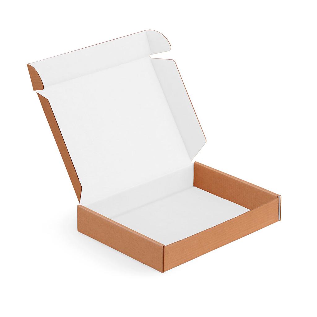Incognito® eCommerce Box 330mm x 290mm x 65mm White-In TF
